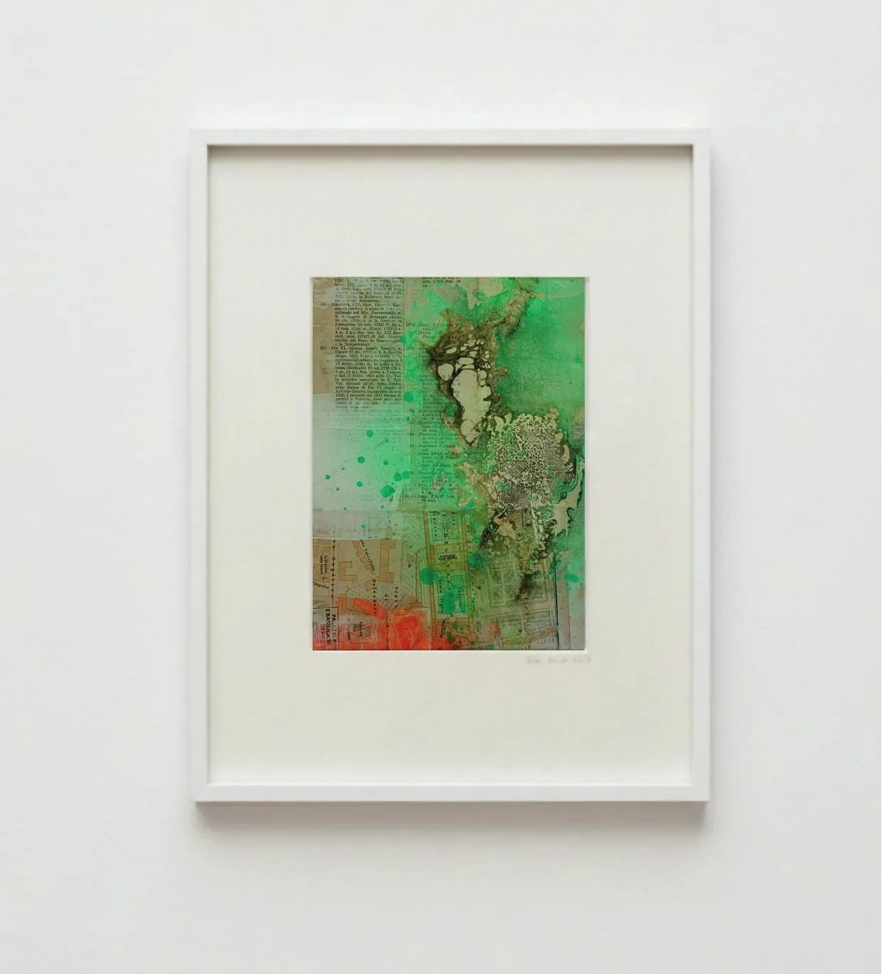 LOST PARADISE / giardini